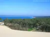 Le bassin vu de la dune du Pyla (© Jean Espirat)