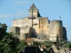 Castle Castelnaud