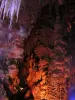 La grotte de Clamouse (© Frantz)