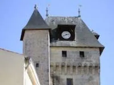 Balades en Charente-Maritime - 11 Itinéraires du Guide
