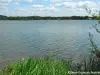 Besichtigung des Vingeanne Lake - Wanderungen & Spaziergänge in Longeau-Percey