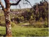 Boucle de Labarthe - Randonnées & promenades à Caylus