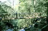 Cascades de la Serva - Randonnées & promenades à Rothau