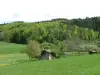 Country walk in Livradois Forez - Hikes & walks in Champagnac-le-Vieux