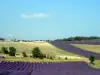 Lavendel -Pfad - Wanderungen & Spaziergänge in Sault
