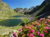 Robert Lakes - Hikes & walks in Chamrousse