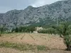 Sainte-Victoire Mountain - Saint-Ser Chapel - Hikes & walks in Puyloubier