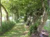 Sentier du Faÿ (Grand-Rullecourt) - Randonnées & promenades à Grand-Rullecourt