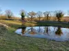 Sentier d'Henri et quête du marteau magique - Randonnées & promenades au Bastit