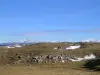 Le sentier du karst - Randonnées & promenades à Vassieux-en-Vercors