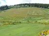 Sommet de Finiels - Randonnées & promenades à Pont de Montvert - Sud Mont Lozère