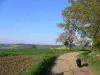 Tour de l'Ormet, de Valignat à Veauce - Randonnées & promenades à Valignat