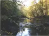 Voueize Gorges - Hikes & walks in Chambon-sur-Voueize