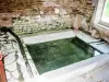 Bassin intérieur du lavoir de la ferme de la Pothière (© J.E)