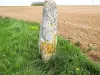 Menhir of Pierre-Fiche (© J.E)