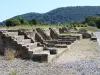 Gallo-Roman site