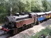 Cevennes steam train