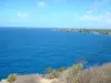 View from the cliffs Anse-Bertrand
