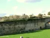 101 Vendéens furent fusillés contre ce mur en 1794