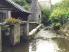 Athis-Val de Rouvre - Guide tourisme, vacances & week-end dans l'Orne