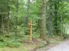 Chemin de croix au Puy du Bassin