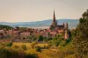 Vue d'Autun (© Jean-Marc Schwartz)