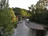 Saut du Loup - Pont sur l'Alagnon