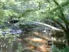 Le Pont des Gardes dans la vallée du Cousin