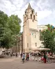 Avignon Töpfermarkt