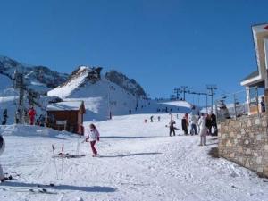 Ski Park Manager 2003 Download Torrent