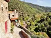 Baillestavy - Führer für Tourismus, Urlaub & Wochenende in den Pyrénées-Orientales