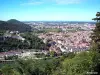 Besançon vu du fort de Beauregard