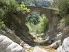 Le vieux pont de Carléva