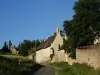 Saint-Rémy-la-Varenne - Casa solariega de Chauvigné