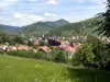 Bussang - Guide tourisme, vacances & week-end dans les Vosges