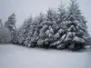 La neige - Livradois Forez - Champagnac-le-Vieux
