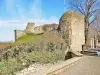 Ehemalige Burg der Herzöge von Burgund - Ruinen des Wachturms (© Jean Espirat)