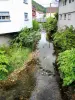 Le ruisseau de Xoulces, en amont du pont de Cornimont (© J.E)