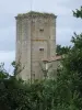 Castelo de Curton - Monumento em Daignac