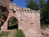 Castelo de Schoeneck - Monumento em Dambach