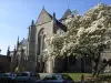 Dinan - Église Saint-Malo