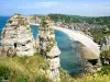 Panorama de la plage d'Etretat vue de la falaise d'aval (© J.E)