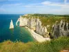 Panorama of the downstream cliff opposite the town of Etretat, view taken from the Maneporte cliff (© JE)