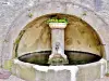 Fontaine sous l'escalier d'accès au château (© J.E)