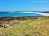 Glénans - Île Bananec vue de Saint-Nicolas (© J.E)