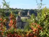 Fougères 的中世纪城堡（©EP）