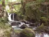 Cascade du Géhard, il y a 20 ans (© J.E)