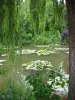 O lagoa em Giverny