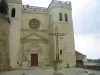 Collegiale Kerk Saint-Sauveur - Monument in Grignan
