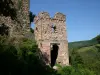 Ruines du château du Hugstein (© CCRG - PAH)